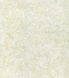 21000
