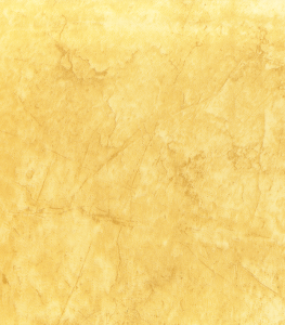 21061