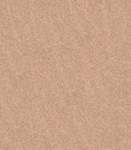 D21152