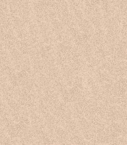 D21154