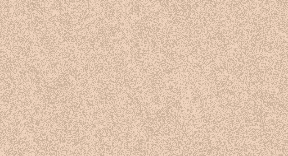 D21154