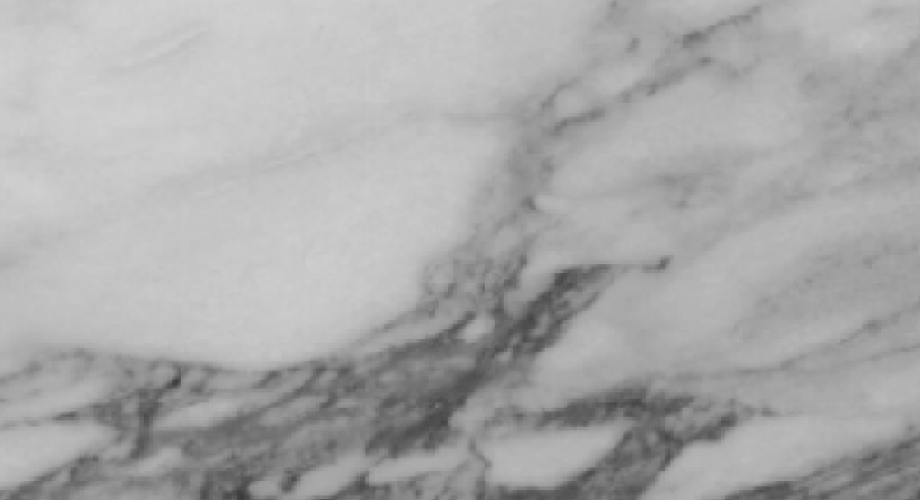 D21261