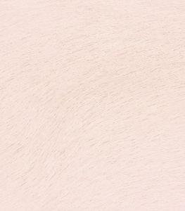D40107
