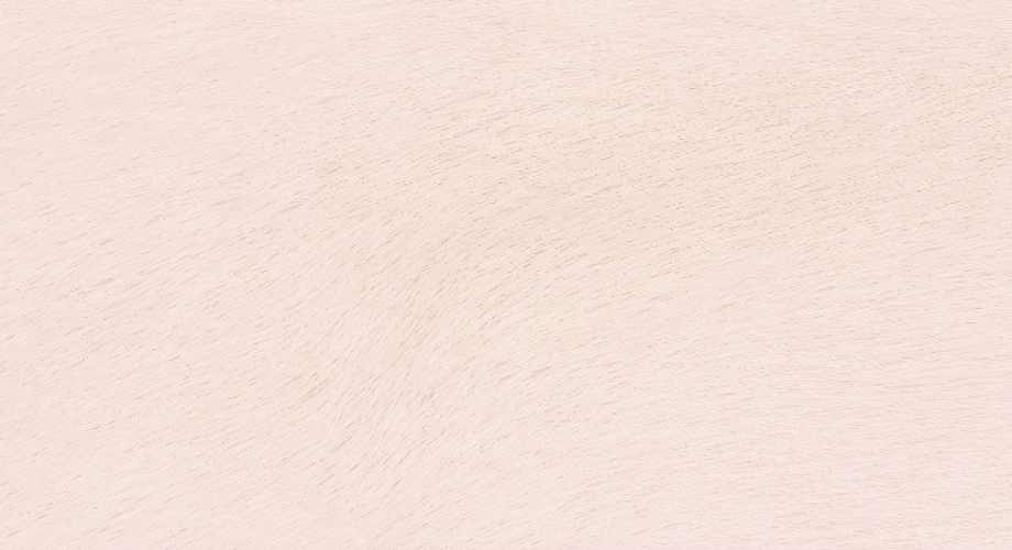 D40107