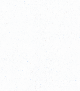D40203