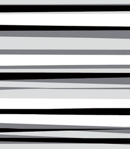 D50096