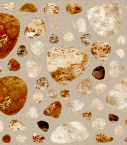 D50167