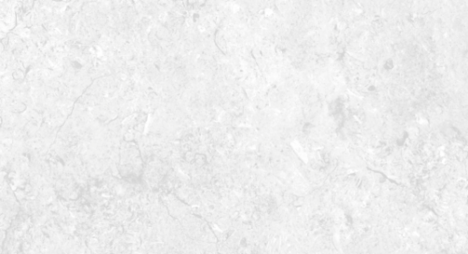 D5099