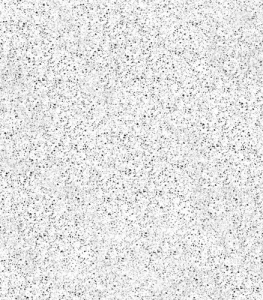 D5101