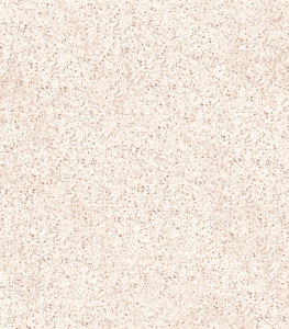 D5102