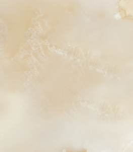 V0001