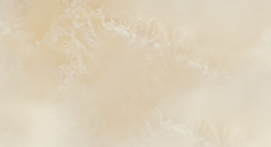 V0001