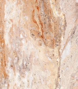 V0026