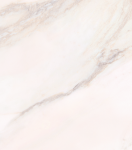 V0035