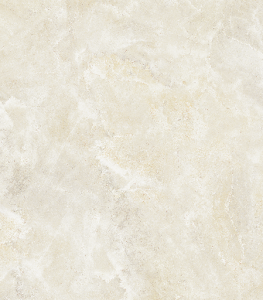 V0088