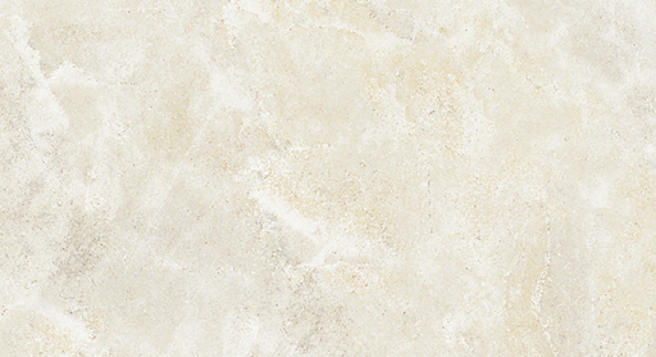V0088