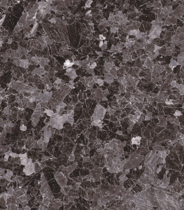 V0101