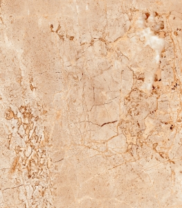 X0024