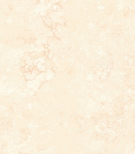 Y0214