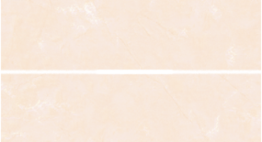 Y0217