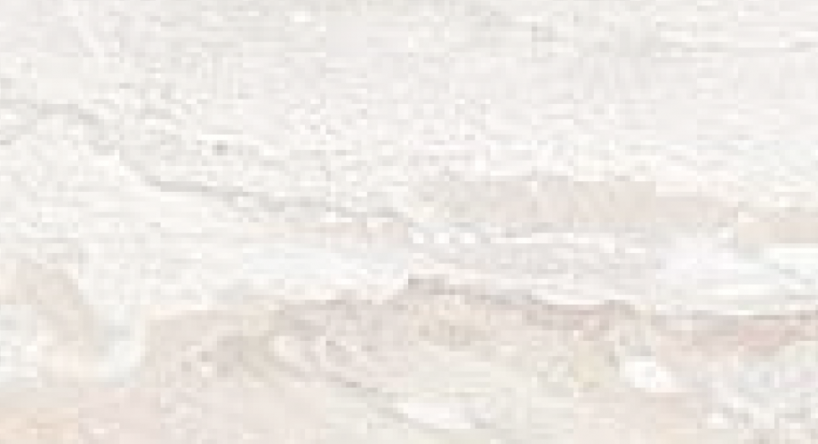 Y0381
