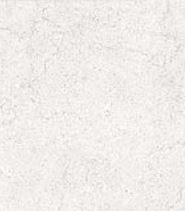 Y0385
