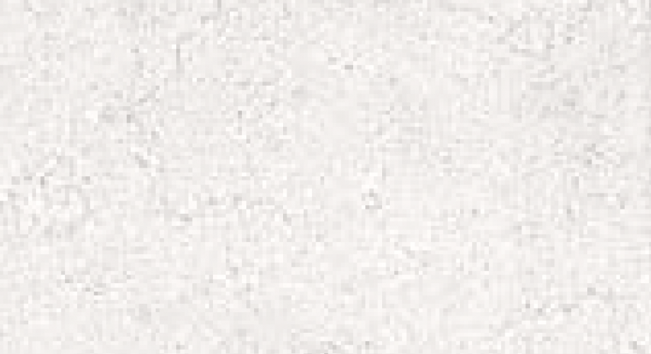 Y0385