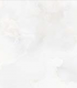 Y0392