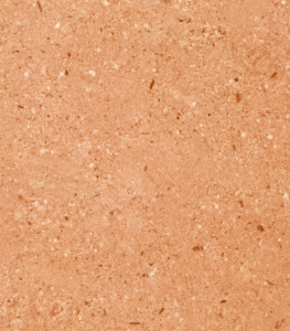 Y0409
