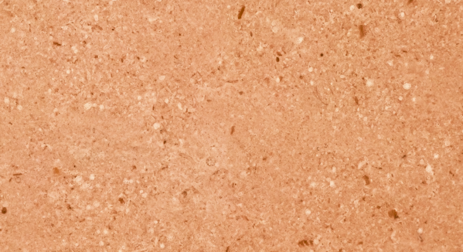Y0409