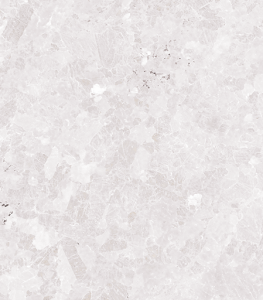 Y0419