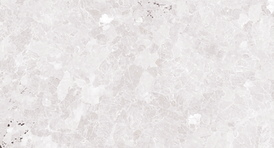 Y0419