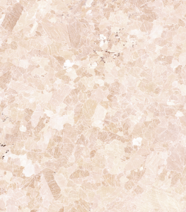 Y0420