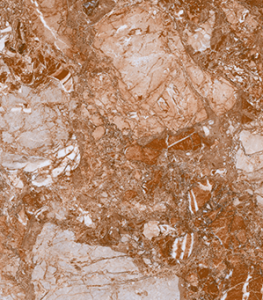 Y0477