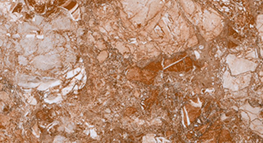 Y0477