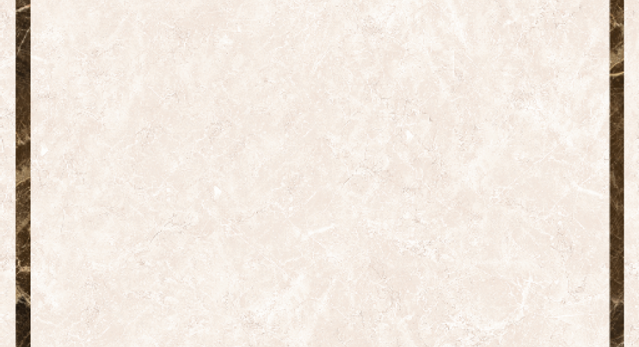 Y0481