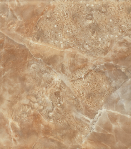 Y0487