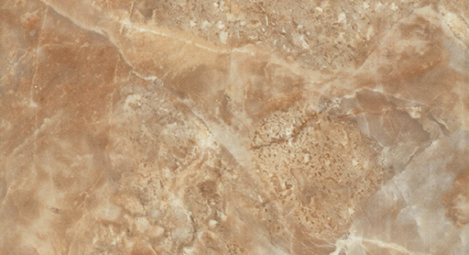 Y0487