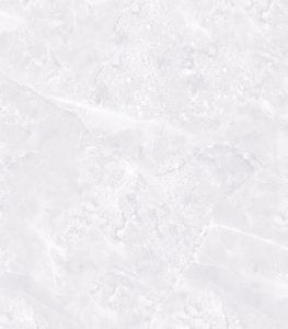 Y0488