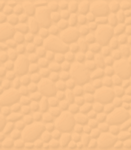 Z50307