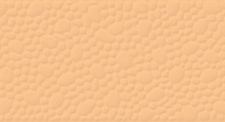 Z50307